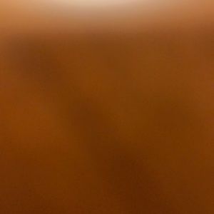 Meet your Posher, Maha